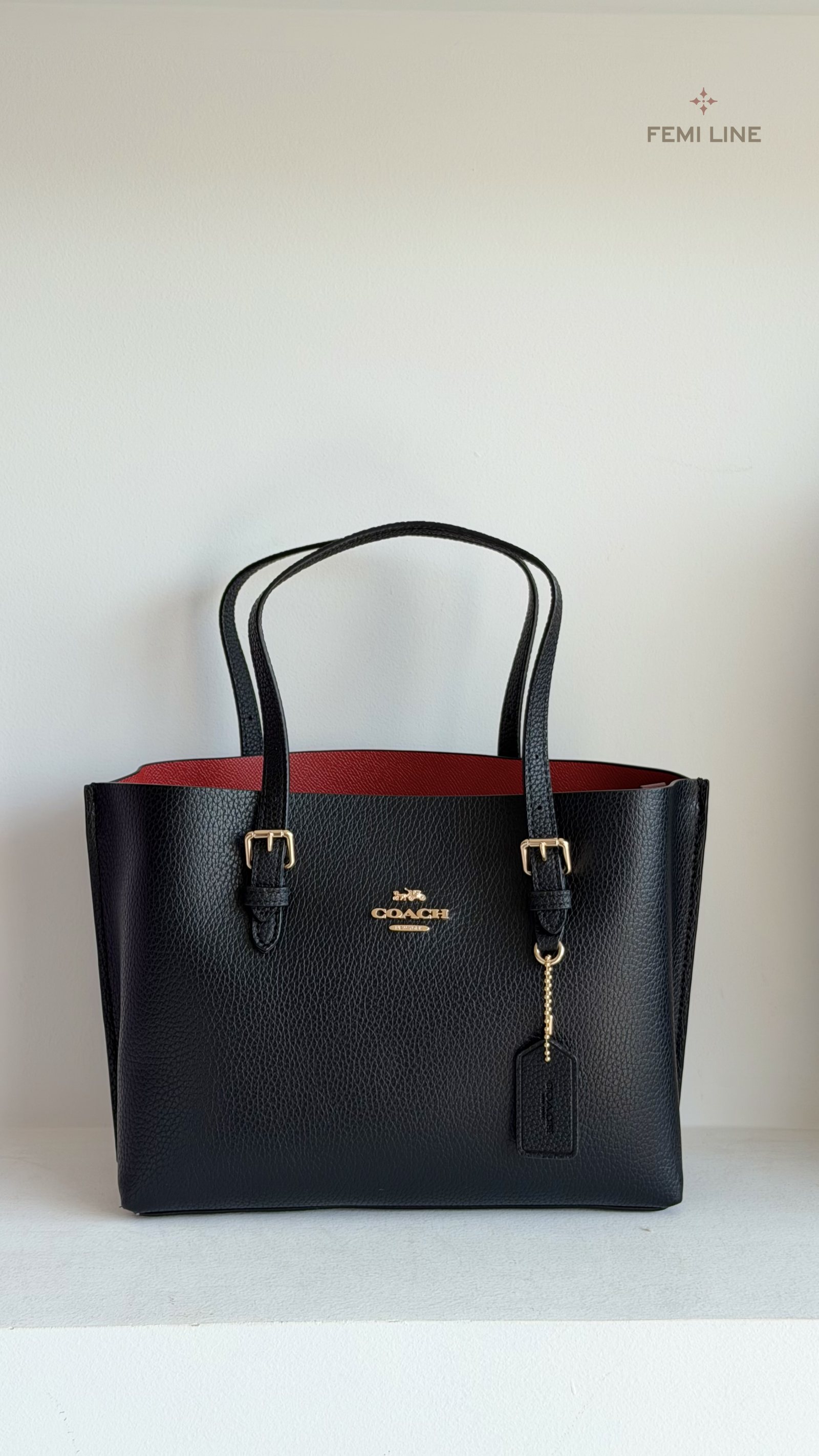 Coach bag (1) – 1