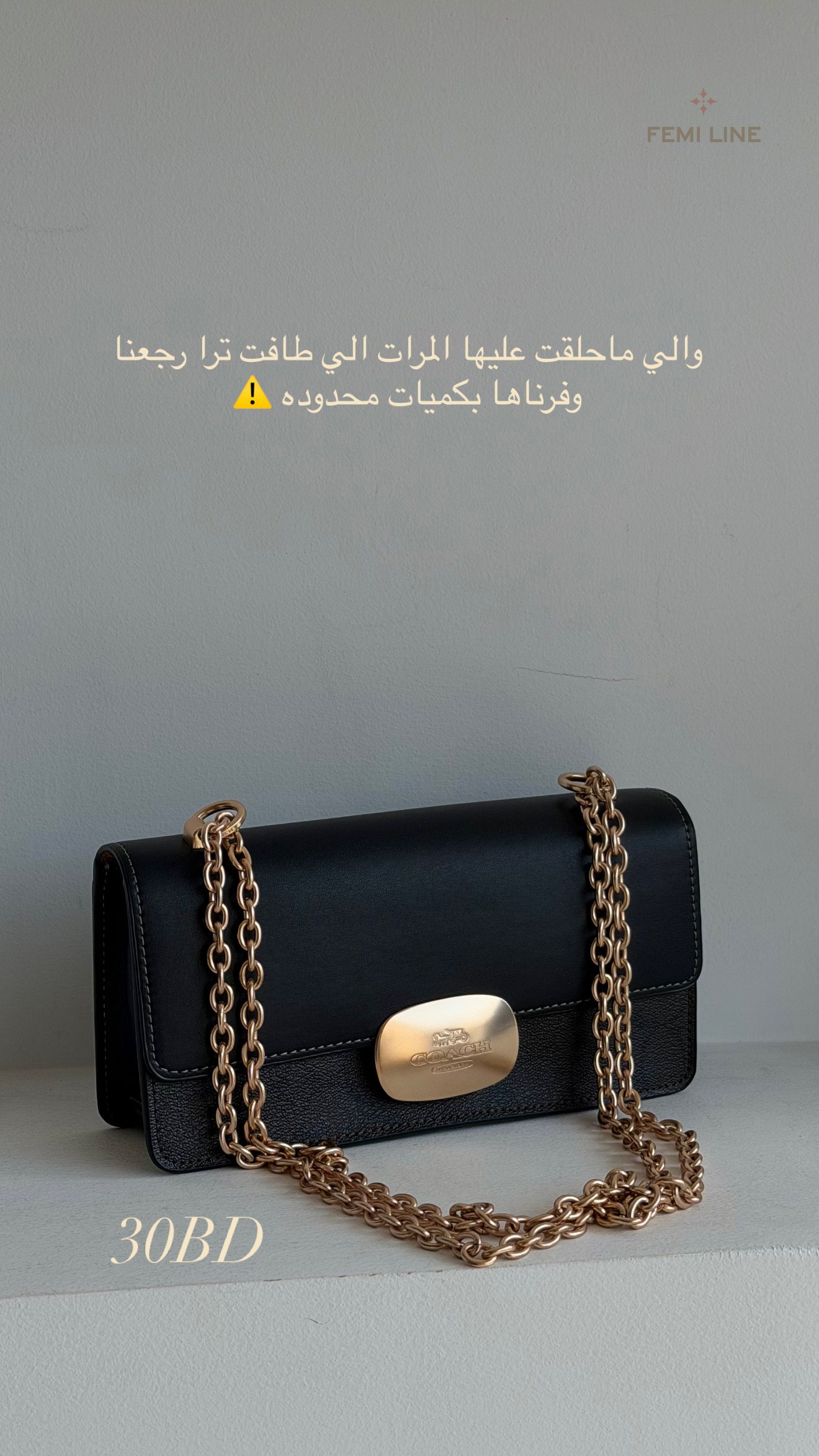 Coach bag (2) – 1