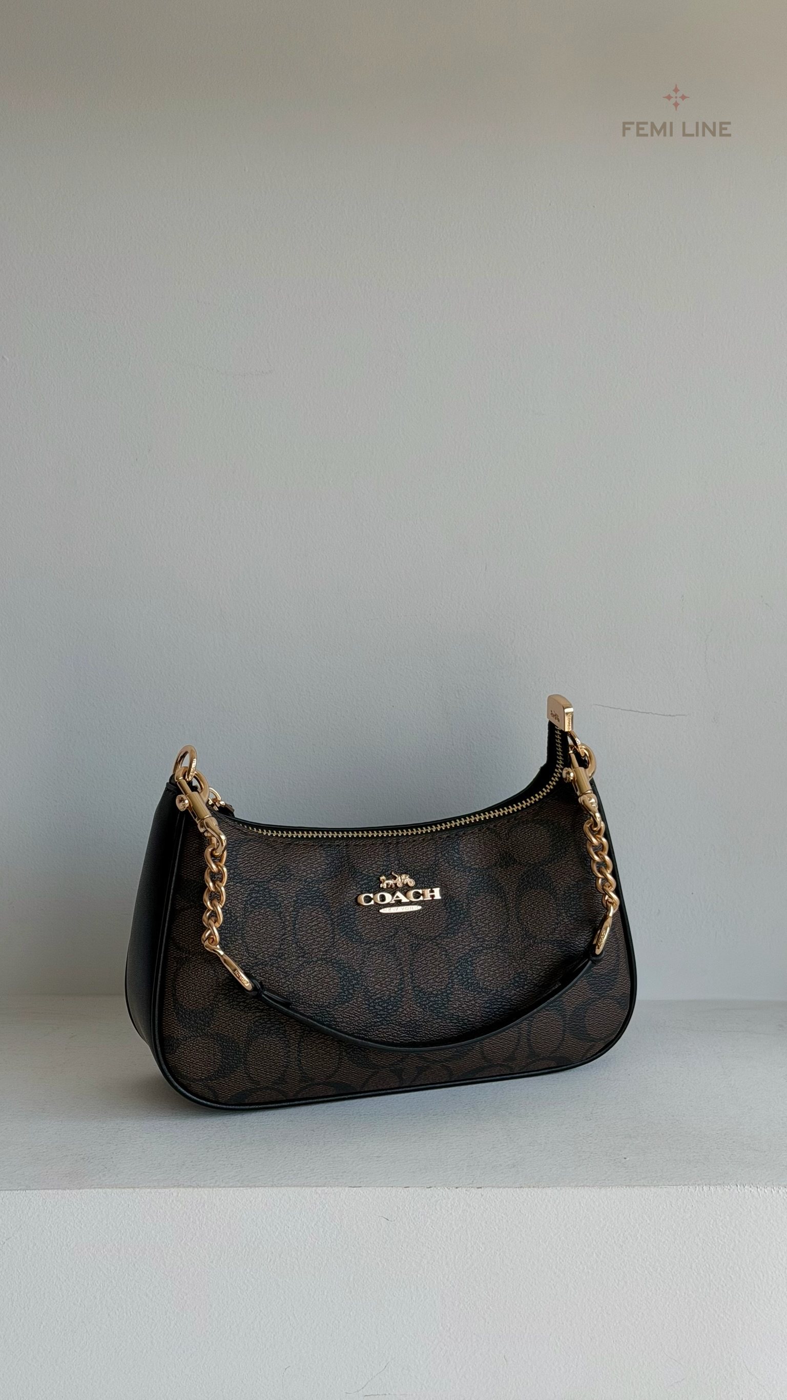 Coach bag – 2